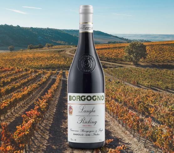 Borgogno Langhe “Era Ora” 2021 