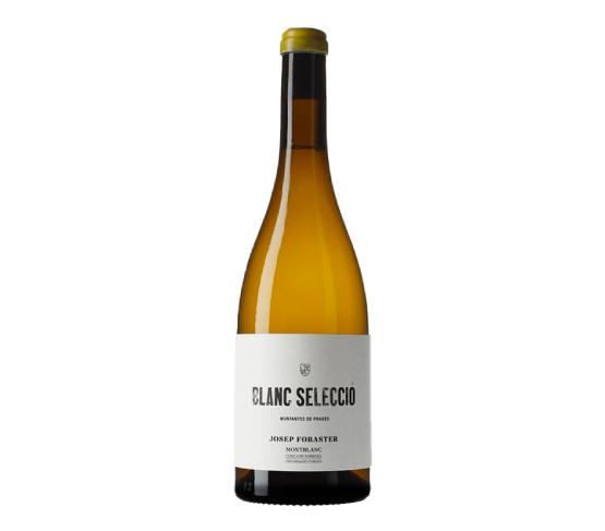 JOSEP FORASTER Blanc Selecció 2024 75cl