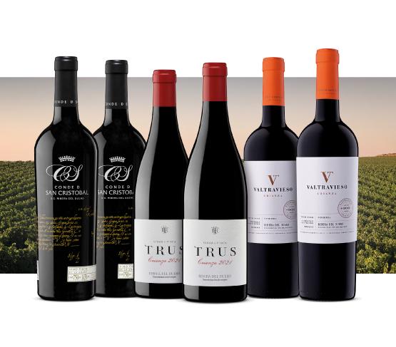Ribera del Duero: la cuna de las grandes crianzas